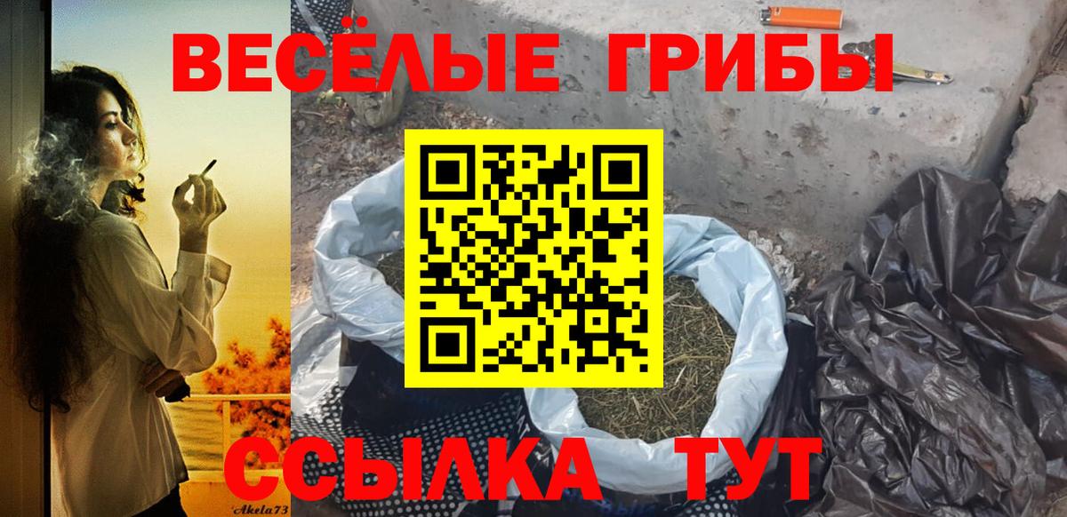 Псилоцибиновые грибы Psilocybe Беслан